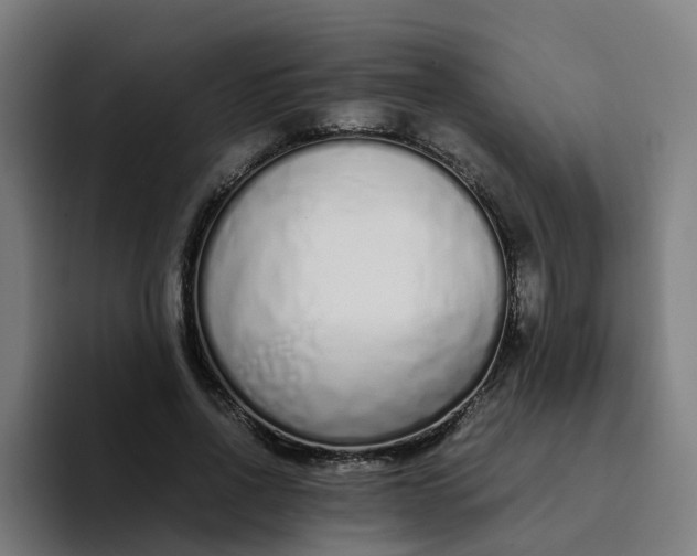 X0000094360734200711162050