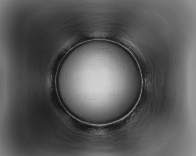 X0000094360735200711162050