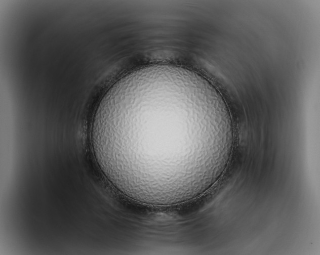 X0000094360737200711162050