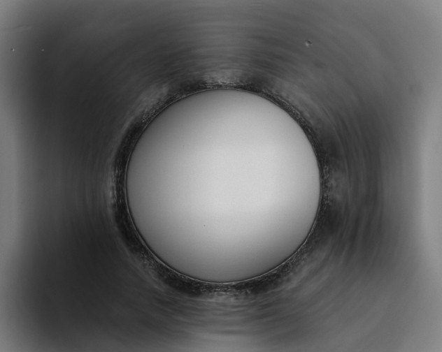 X0000094360738200711162050