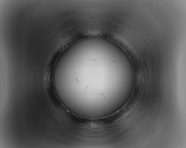 X0000094360739200711162050