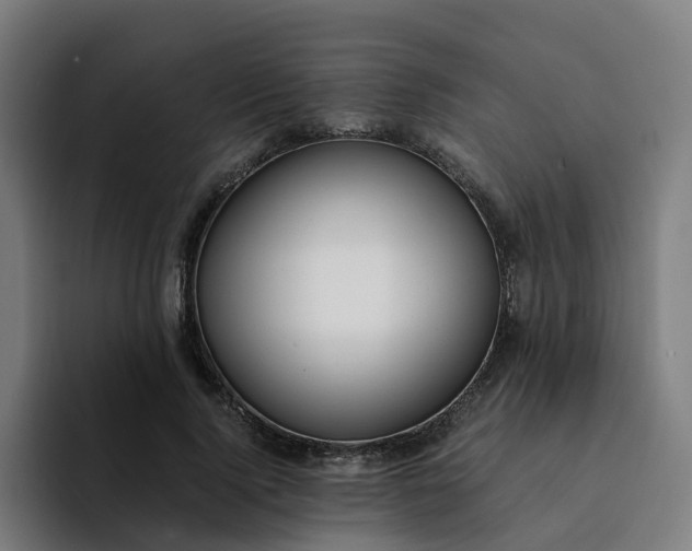 X0000094360740200711162050