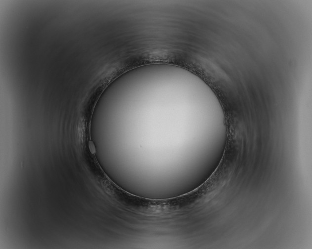 X0000094360744200711162050