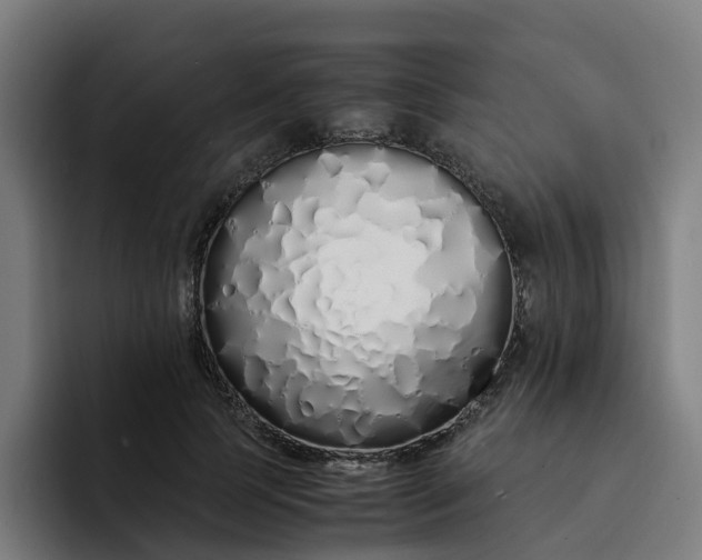 X0000094360745200711162050