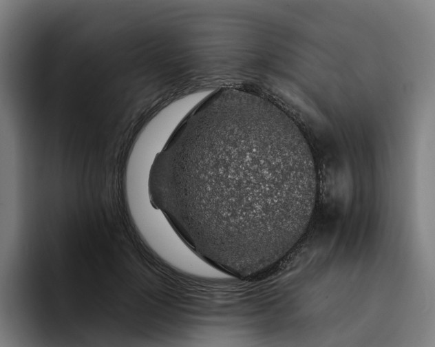 X0000094360748200711162050