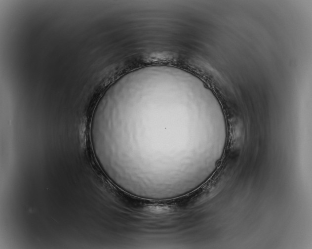 X0000094360749200711162050