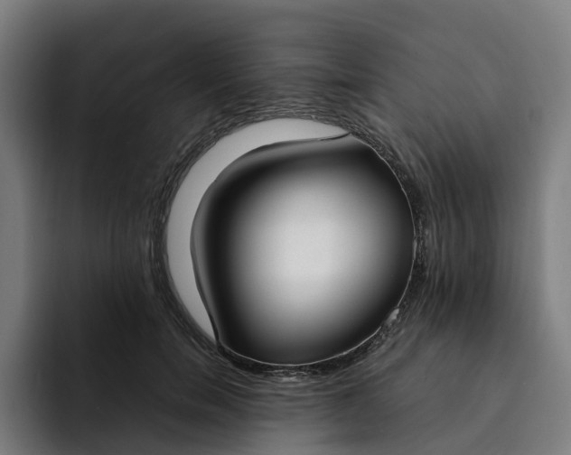 X0000094360750200711162050