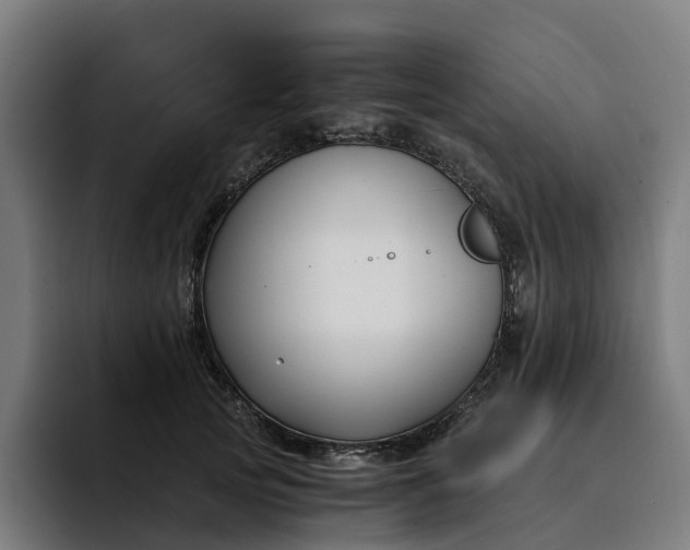 X0000094360753200711162050