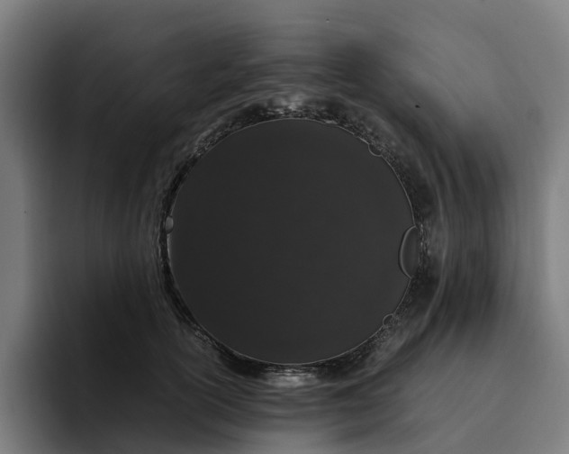 X0000094360754200711162050