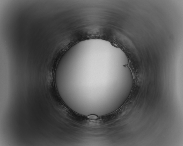 X0000094360756200711162050