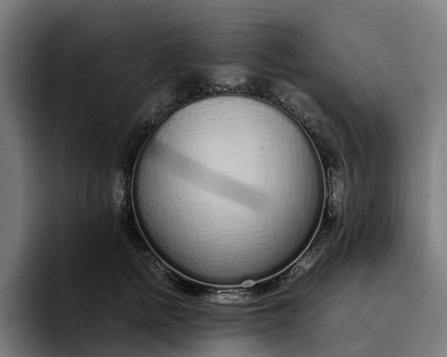 X0000094360758200711162050