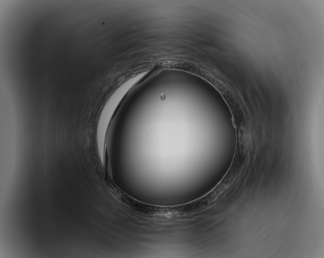 X0000094360760200711162050