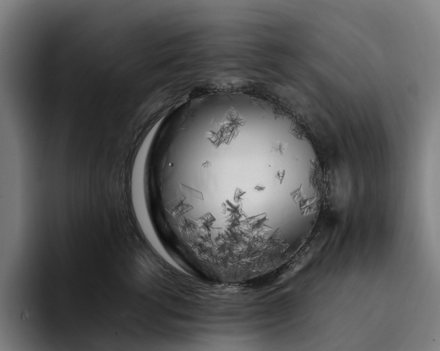 X0000094360762200711162050