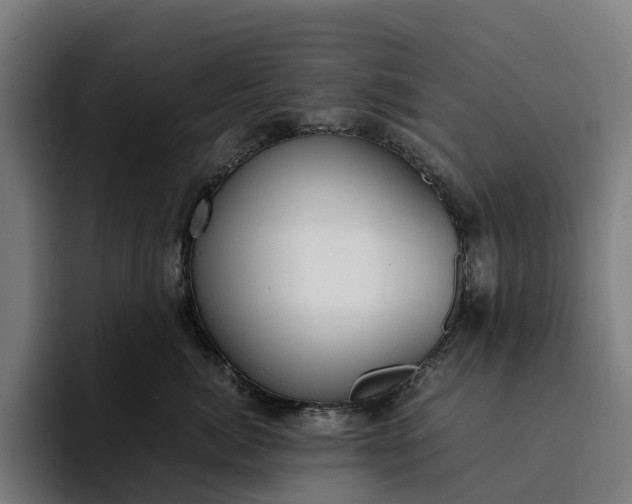 X0000094360764200711162050