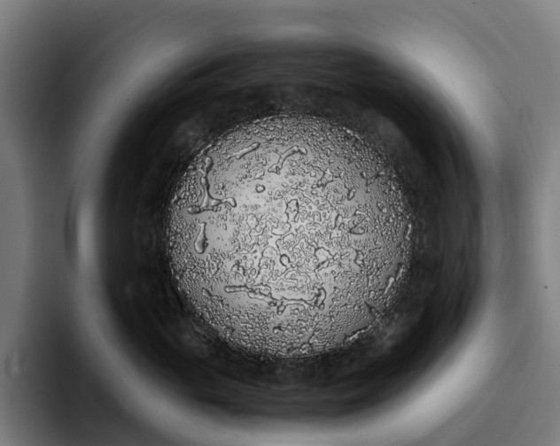 X0000094360765200711162050