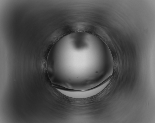 X0000094360766200711162050