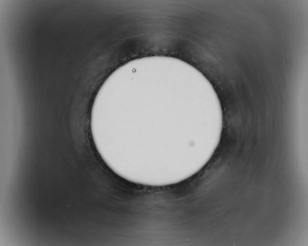 X0000094360769200711162050