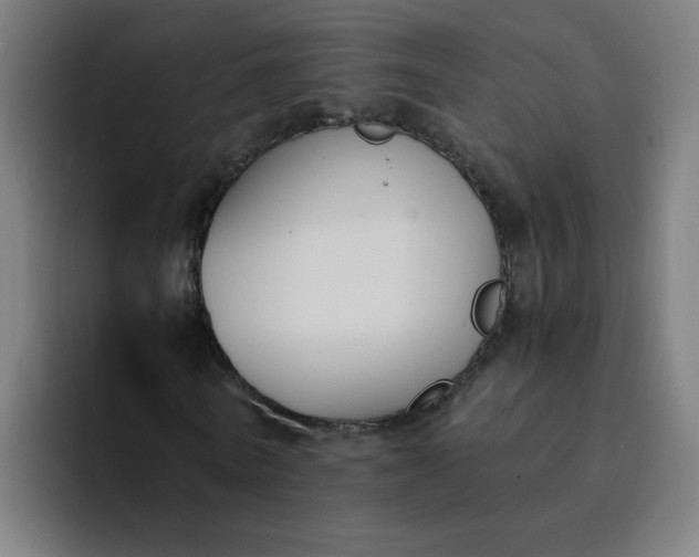 X0000094360770200711162049