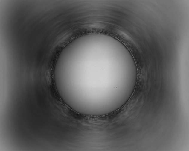 X0000094360774200711162049