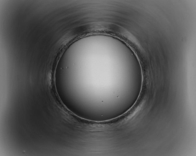 X0000094360777200711162049