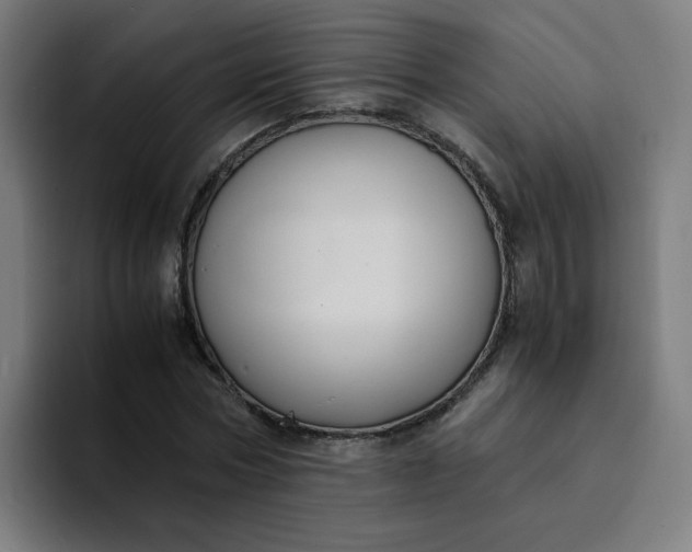 X0000094360778200711162049