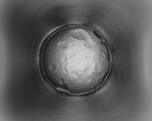 X0000094360779200711162049