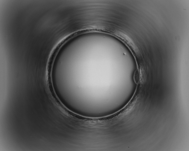 X0000094360780200711162049