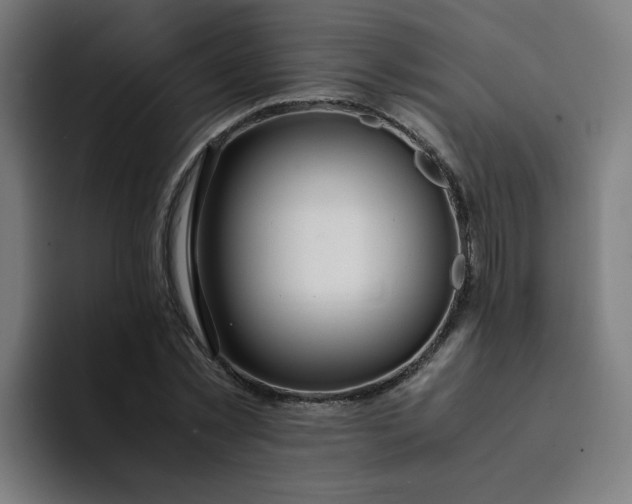 X0000094360781200711162049