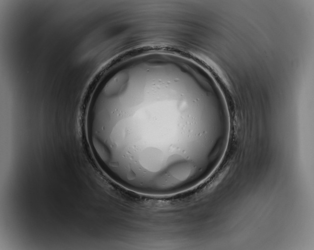 X0000094360783200711162049