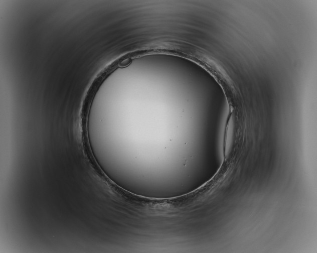 X0000094360784200711162049