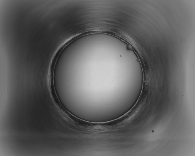 X0000094360787200711162049