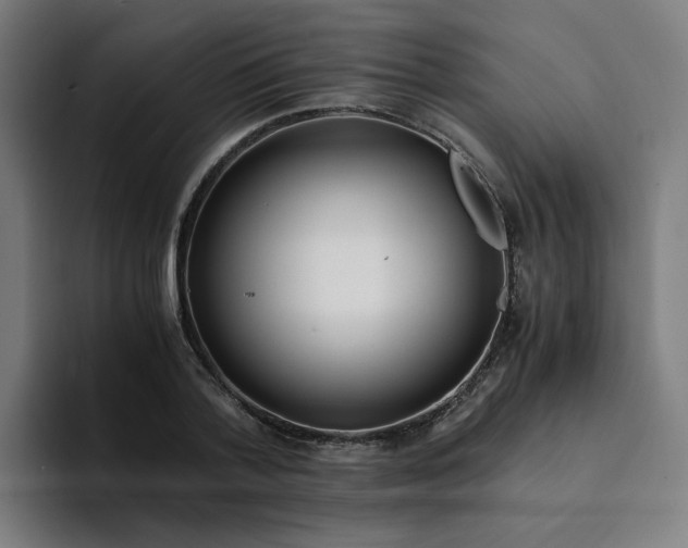 X0000094360788200711162049