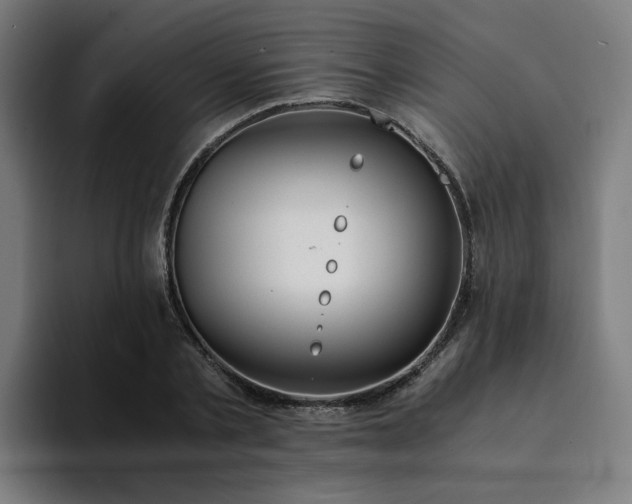 X0000094360789200711162049