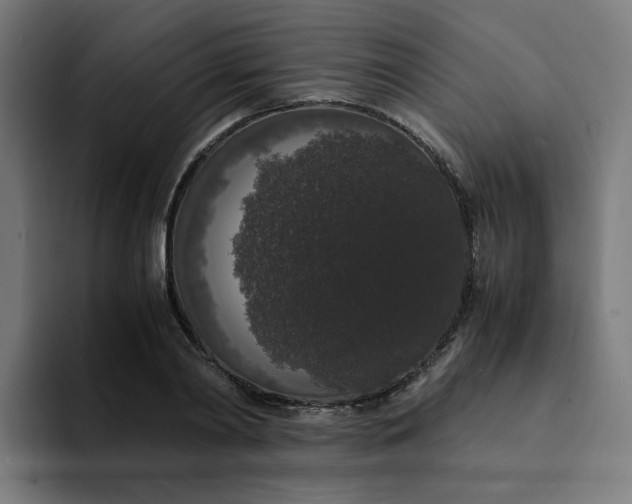 X0000094360790200711162049