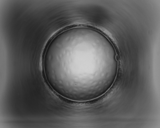 X0000094360791200711162049