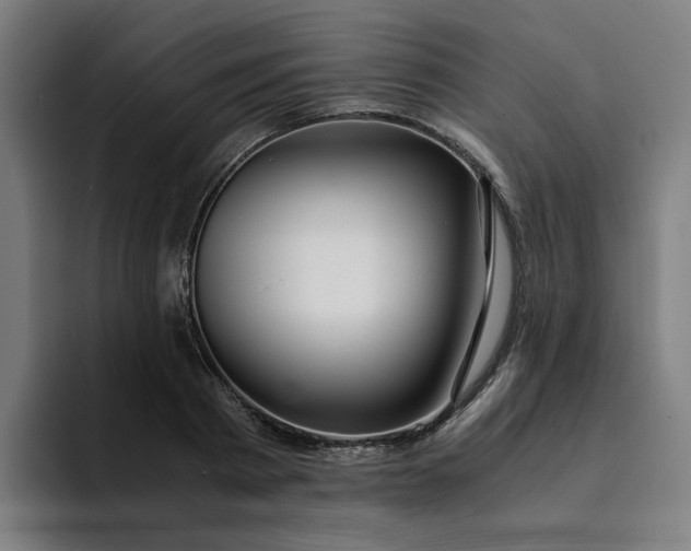 X0000094360793200711162049