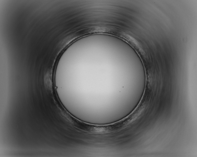 X0000094360794200711162049