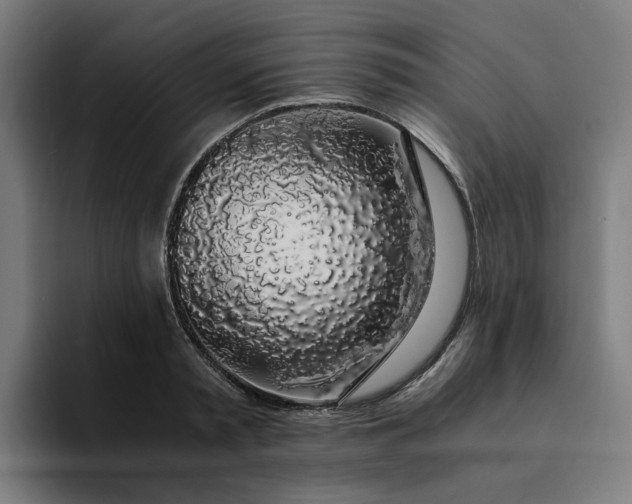 X0000094360797200711162049