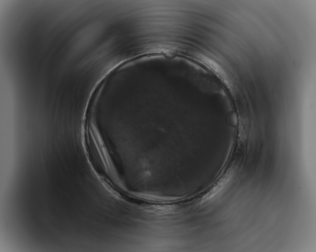 X0000094360802200711162049