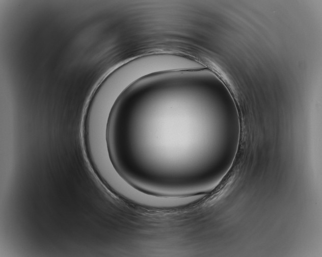 X0000094360803200711162049