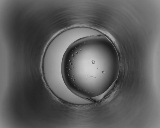 X0000094360807200711162049