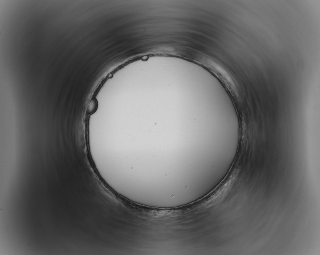 X0000094360808200711162049