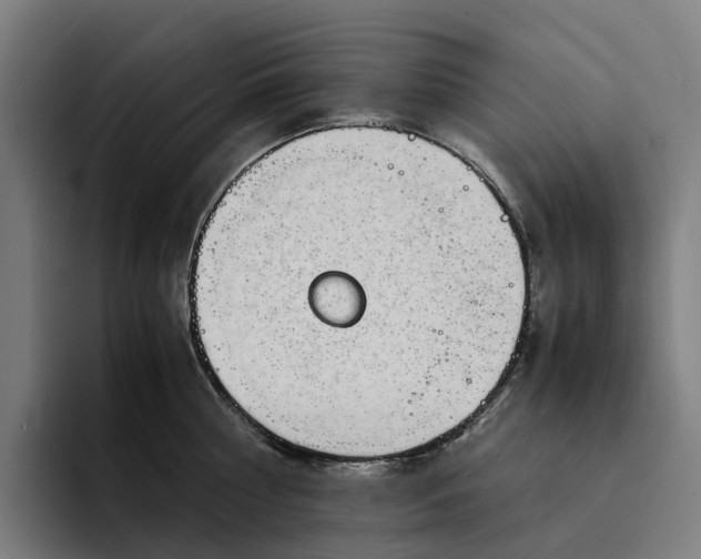 X0000094360810200711162049