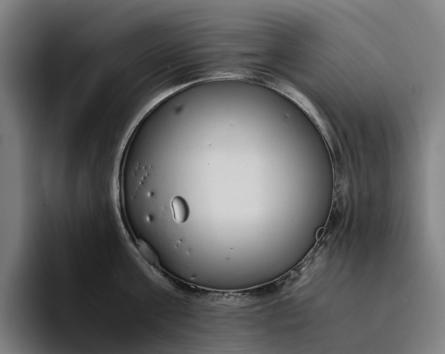 X0000094360811200711162049