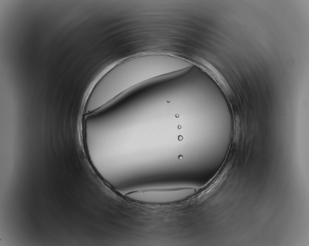 X0000094360812200711162049