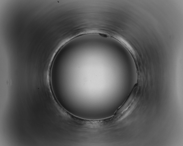 X0000094360813200711162049