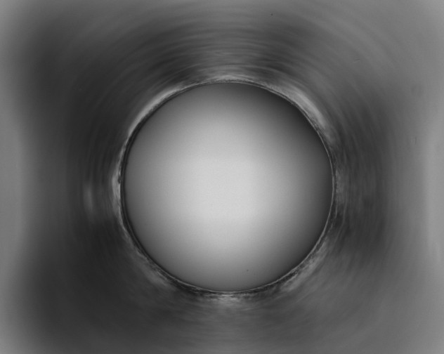 X0000094360814200711162049