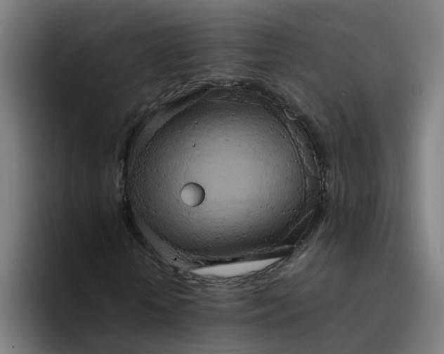 X0000094360818200711162048