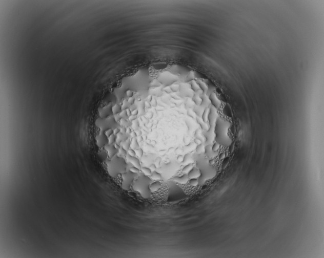 X0000094360819200711162048