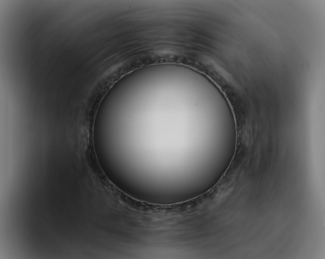 X0000094360821200711162048